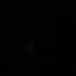 Meet your Posher, Evelyn